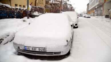 Van, Muş ve Bitlis'te 53 yerleşim biriminin yolu kapandı