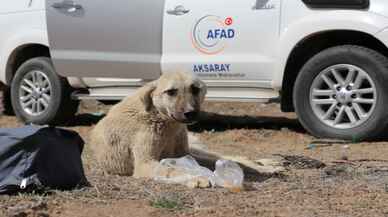 Aksaray'da kuyuya düşen köpeği AFAD ekipleri kurtardı