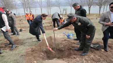 Bolu'da bu yıl 600 bini aşkın fidan toprakla buluşturulacak