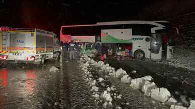 Erzurum'da kar yağışı etkili oldu