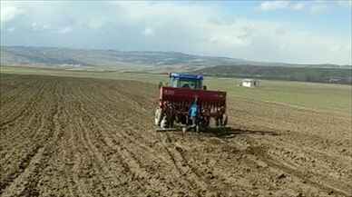 Van'da çiftçilere dağıtılan 100 ton arpa tohumu toprakla buluştu