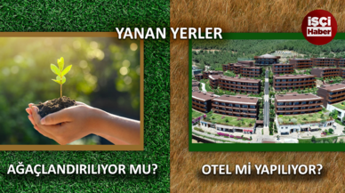 Yanan ormanların yerine otel mi yapılıyor?