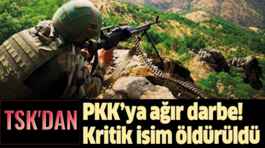 TSK'dan PKK'ya ağır darbe