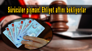 Sürücüler pişman! Ehliyet affını bekliyorlar