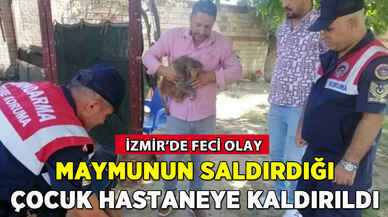 İzmir'de maymun saldırısı: Çocuk hastaneye kaldırıldı