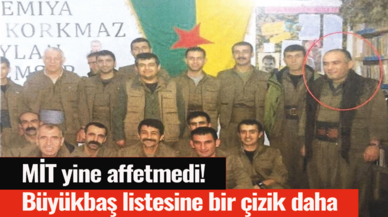 MİT yine affetmedi! Büyükbaş listesine bir çizik daha