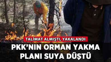 PKK'nın orman yakma planı suya düştü