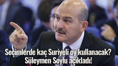 Seçimlerde kaç Suriyeli oy kullanacak?