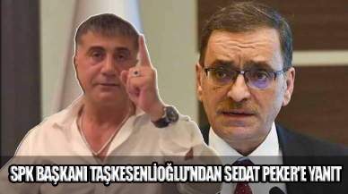 SPK Başkanı Taşkesenlioğlu'ndan Sedat Peker'e yanıt