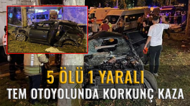 TEM Otoyolu'nda korkunç kaza: 5 ölü, 1 yaralı