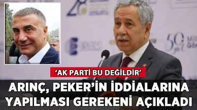 Arınç, Sedat Peker'in iddialarına yapılması gerekeni açıkladı