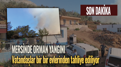 Son dakika... Mersin'de orman yangını: 30 ev tahliye edildi