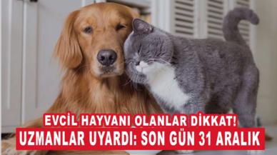 Evcil hayvanı olanlar dikkat! Uzmanlar uyardı: Son gün 31 Aralık