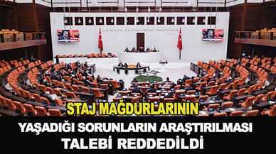 Staj mağdurlarının yaşadığı sorunların araştırılması talebi reddedildi