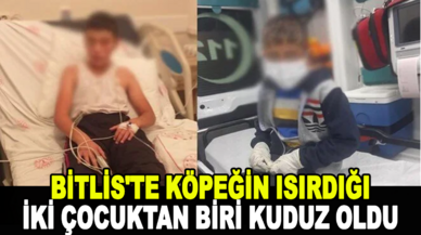 Bitlis'te köpeğin ısırdığı iki çocuktan biri kuduz oldu