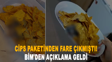 Cips paketinden fare çıkmıştı! BİM'den açıklama geldi