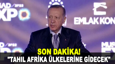 Cumhurbaşkanı Erdoğan'dan tahıl koridoru açıklaması