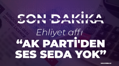 Ehliyet affı mağdurlarından tepki : AK Parti'den ses seda yok