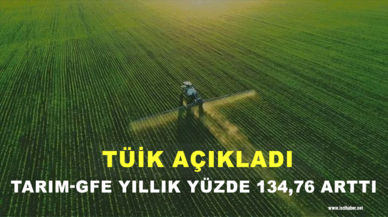 TÜİK: Tarım-GFE yıllık yüzde 134,76 arttı