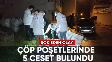 Çöp poşetlerine konulmuş 5 ceset bulundu