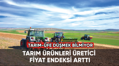 Tarım-ÜFE yüzde 151 arttı