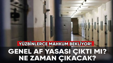 Yüzbinlerce mahkum bekliyor! Genel Af Yasası çıkacak mı?