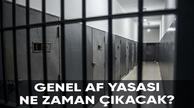 Genel af yasası ne zaman çıkacak?