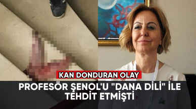 Profesör Şenol'u "dana dili" ile tehdit eden sanık için yakalama kararı