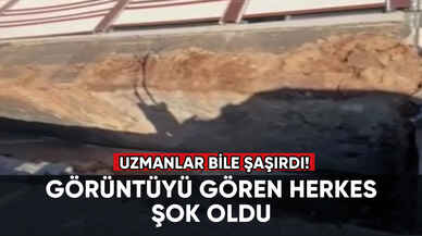 Uzmanlar bile şaşırdı! Görenler hayret etti