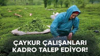 ÇAYKUR çalışanları kadro talep ediyor!