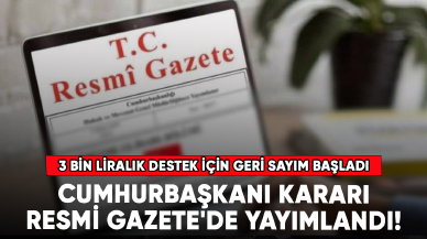 Cumhurbaşkanı kararı Resmi Gazete'de yayımlandı! 3 bin liralık destek için geri sayım başladı