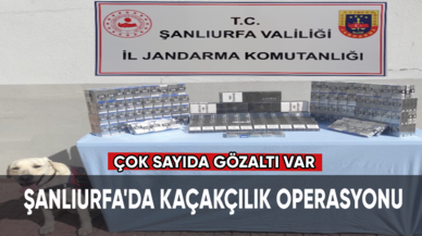 Şanlıurfa'da kaçakçılık operasyonu, çok sayıda gözaltı var