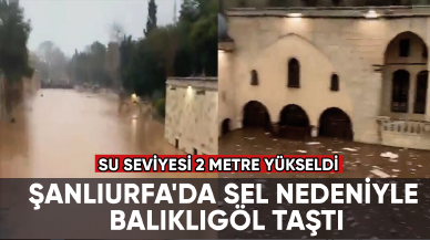 Şanlıurfa'da sel nedeniyle Balıklıgöl taştı