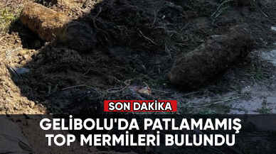 Son dakika... Gelibolu'da patlamamış top mermileri bulundu