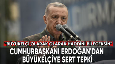 Cumhurbaşkanı Erdoğan'dan büyükelçiye sert tepki