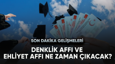 Denklik affı ve ehliyet affı ne zaman çıkacak? Son dakika gelişmeleri