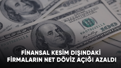 Finansal kesim dışındaki firmaların net döviz açığı azaldı