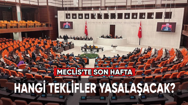 Gözler TBMM'de son haftada hangi teklifler yasalaşacak?