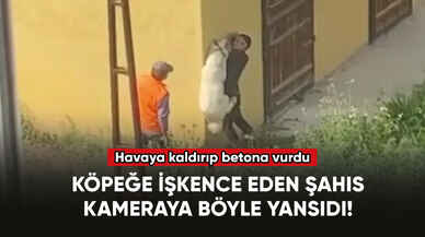 Köpeğe yapılan işkence saniye saniye kaydedildi