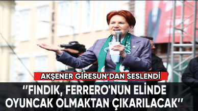 Akşener: Fındık, Ferrero'nun elinde oyuncak olmaktan çıkarılacak