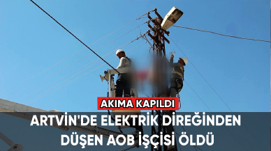 Artvin'de elektrik direğinden düşen AOB işçisi öldü