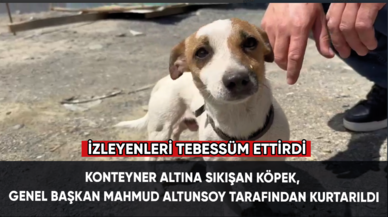 Konteyner altına sıkışan köpek, Genel Başkan Mahmud Altunsoy tarafından kurtarıldı