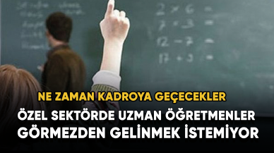 Özel sektörde uzman öğretmenler görmezden gelinmek istemiyor