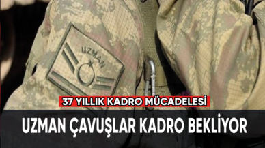 Uzman çavuşlar kadro bekliyor