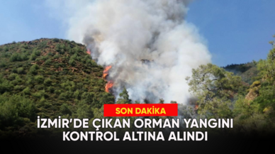 İzmir'de çıkan orman yangını kontrol altına alındı