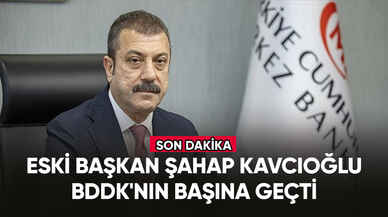 Şahap Kavcıoğlu, BDDK'nın başına geçti