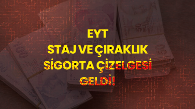 Staj ve çıraklık çizelgesi! 1 yıllık staj süreleri...