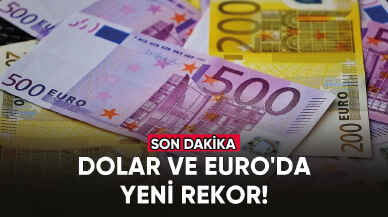 Dolar ve Euro'da yeni rekor!