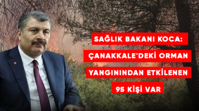 Çanakkale'deki orman yangınından etkilenen 95 kişi var