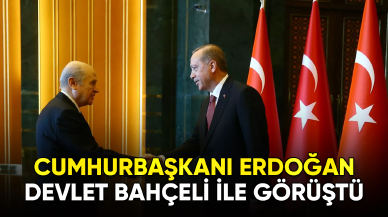 Cumhurbaşkanı Erdoğan, Devlet Bahçeli ile görüştü